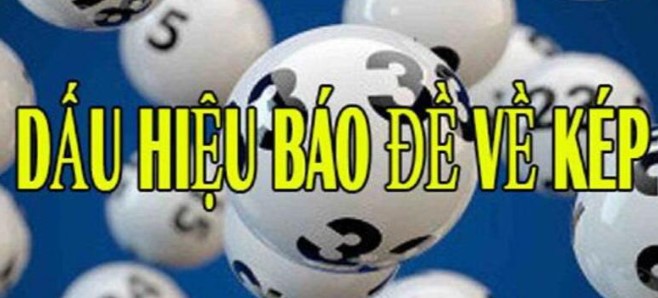 Trải nghiệm của bạn khi sử dụng V7sb như thế nào? - V7sb