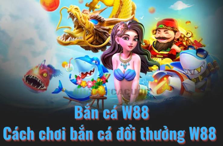 Thành viên VIP Uw99 được phân loại theo thành phố - Uw99