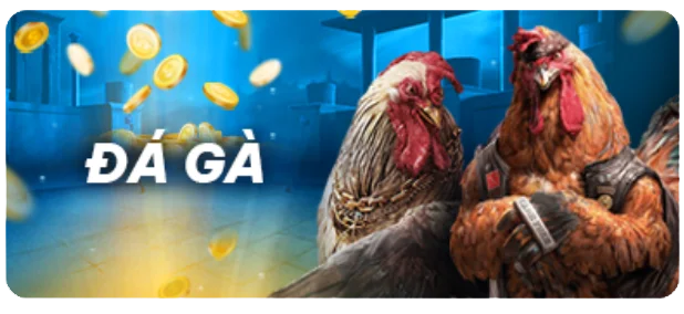 Dịch vụ cá cược thể thao chuyên nghiệp đạt chuẩn Ek88, cung cấp tỷ lệ cược tuyệt vời (2026) - Ek88