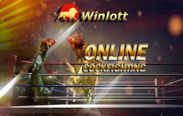 Mạng lưới thương hiệu bán lẻ New88 - New88