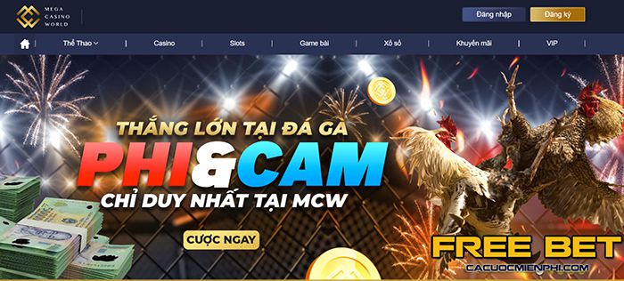 Kimsa cung cấp nhiều ưu đãi rất hấp dẫn - Kimsa