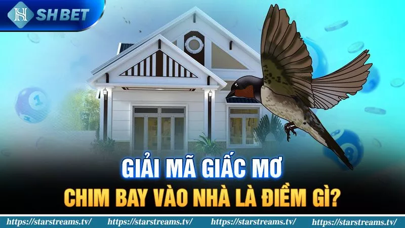 Hướng dẫn đăng ký thành viên Ev8 - Ev8