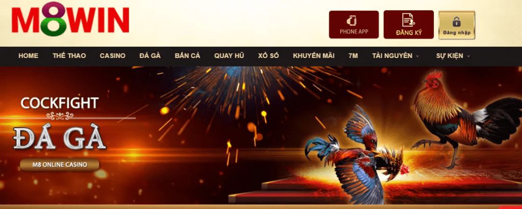 Sản phẩm nền tảng giải trí trực tuyến Bet98 - Bet98
