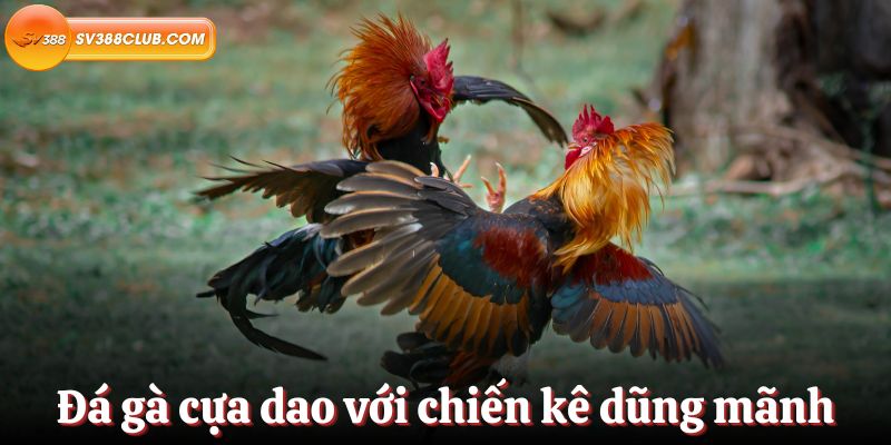 Sv388 cung cấp các ưu đãi và chương trình khuyến mãi, bao gồm cả mã giảm giá - Sv388