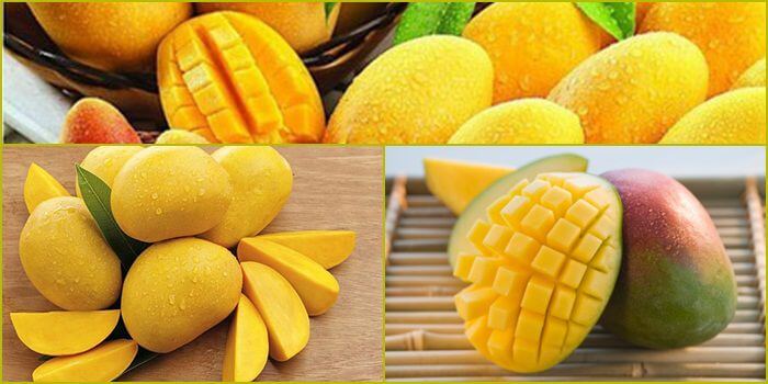 Thông tin liên hệ mới nhất của nền tảng Av88 năm 2026 - Av88