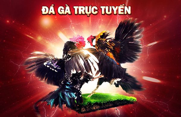 Hitclub cung cấp dịch vụ nạp tiền và đổi thẻ đáng tin cậy - Hitclub