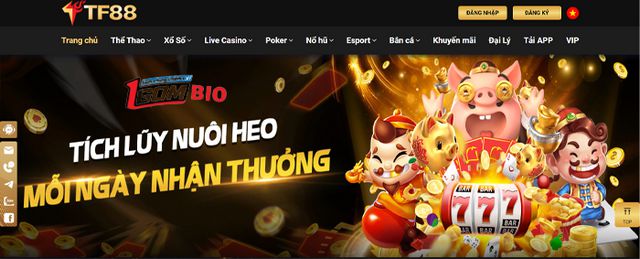 85Win mang đến cho bạn những trò chơi máy đánh bạc hay nhất - 85Win