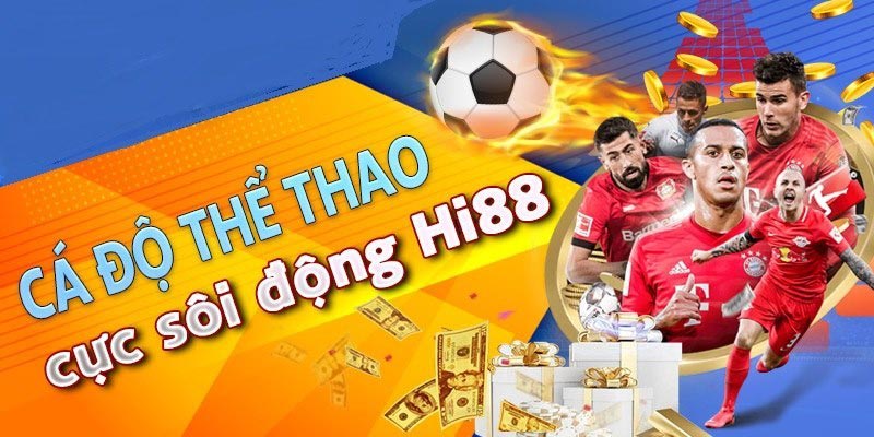 Sản phẩm này có thể mua được tại Nbet88 - Nbet88
